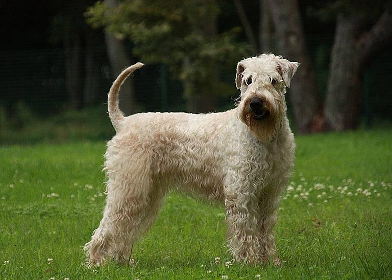 Macarena 10 months 