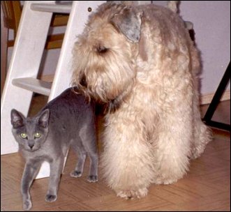 Carrol & Pinky